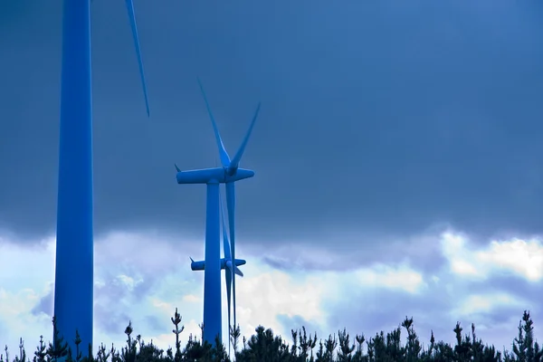 Erneuerbare Energien, Windenergie — Stockfoto