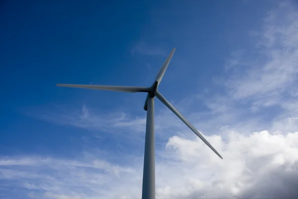 Відновлювана енергетика, вітрові турбіни — стокове фото