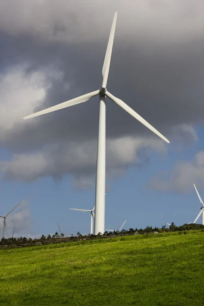Renewable energy, wind turbine — Stock Photo, Image