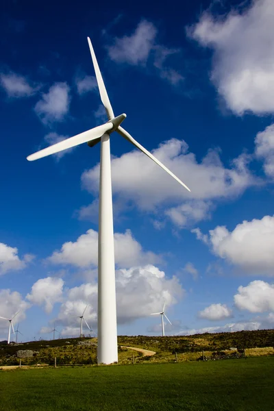 Возобновляемые источники энергии, ветряная турбина — стоковое фото