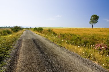 yol ve ağaç