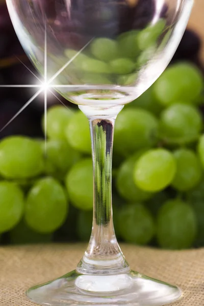 Indústria do vinho — Fotografia de Stock
