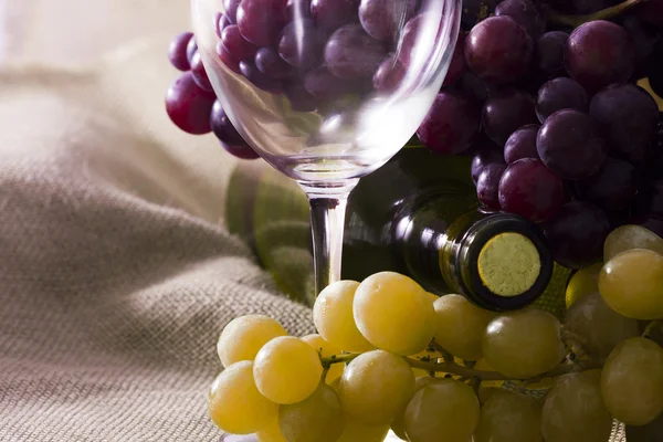 Şarap sanayi — Stok fotoğraf