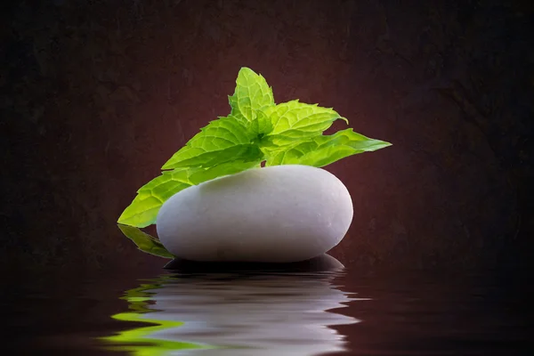 Stone and green leaves with reflection — Stock Photo, Image