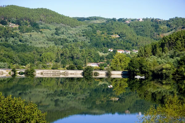 stock image River landscape