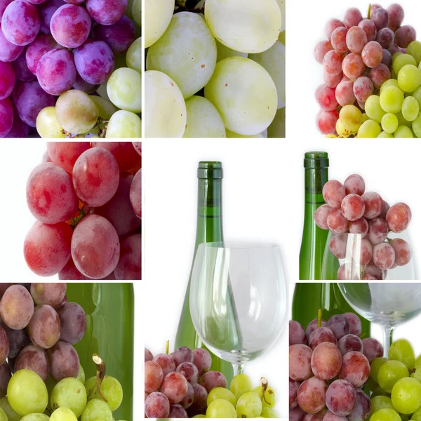 葡萄和葡萄酒的集合 — 图库照片