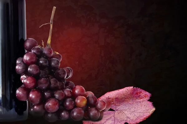 Grappolo d'uva con bottiglia di vino — Foto Stock