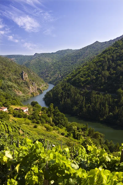 Canyon of sil, spain — Stock Photo, Image