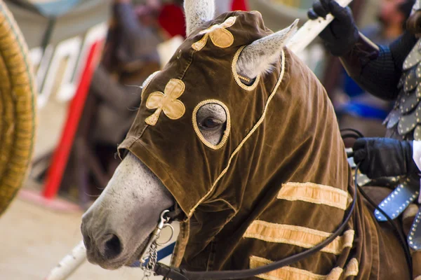 stock image Horse brown