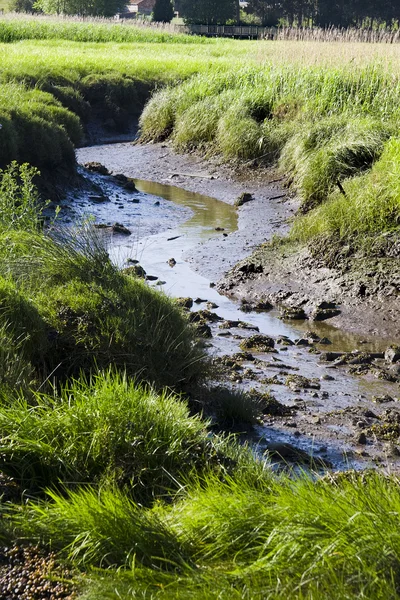 River of catoira, spain — Stock Photo, Image