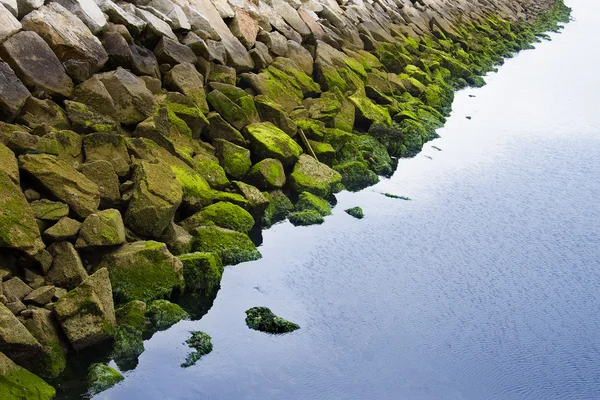 A tengervíz kő — Stock Fotó