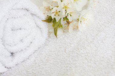 Spa vücut bakımı