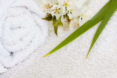 Spa vücut bakımı