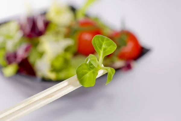 Salada, dieta vegetal — Fotografia de Stock