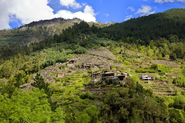 Nature and landscapes of the Ribeira Sacra, Orense, Galicia, Spain — Stock Photo, Image