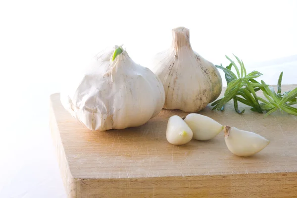 Garlic Stock Image