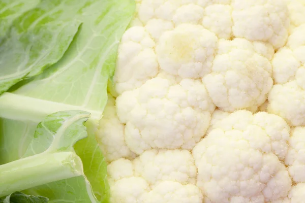 Cauliflower, vegetables and vegetable — Stock Photo, Image