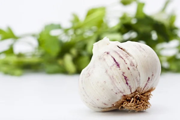On parsley leaves garlic, vegetables — Stock Photo, Image