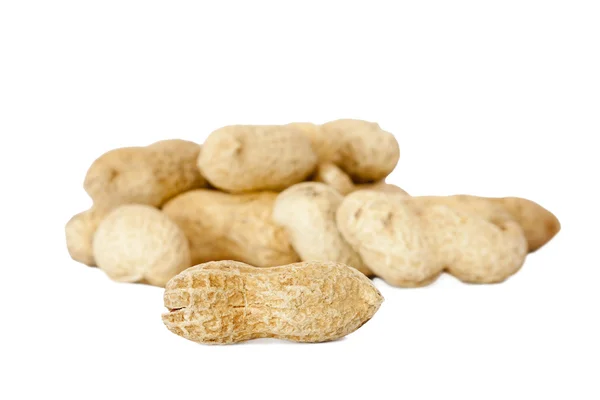 Izolované arašídy — Stock fotografie