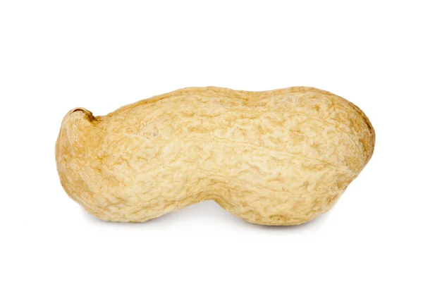 Изолированный арахис — стоковое фото