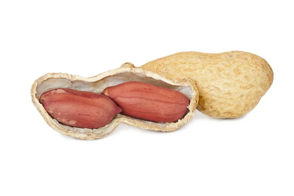 Isolated peanuts — Stock Photo, Image