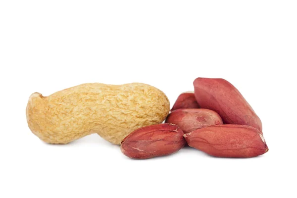 Amendoins isolados — Fotografia de Stock