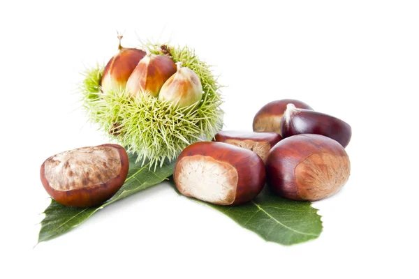 Nuts, fruits of autumn — Stockfoto