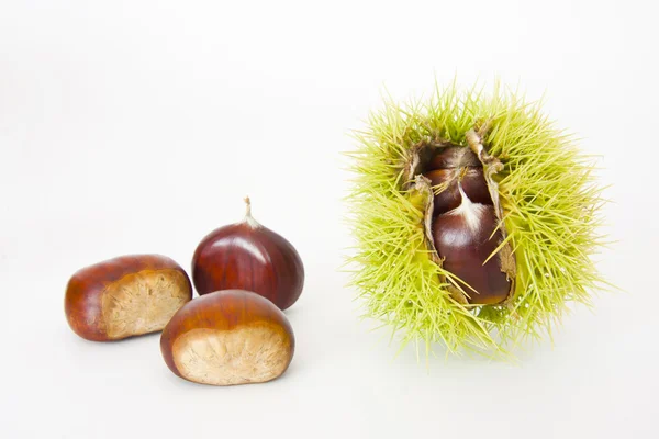 Nötter, frukter av hösten — Stockfoto