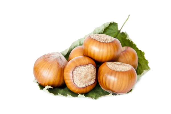 Hazelnuts, dried fruit isolated on white background fall — Stock Photo, Image