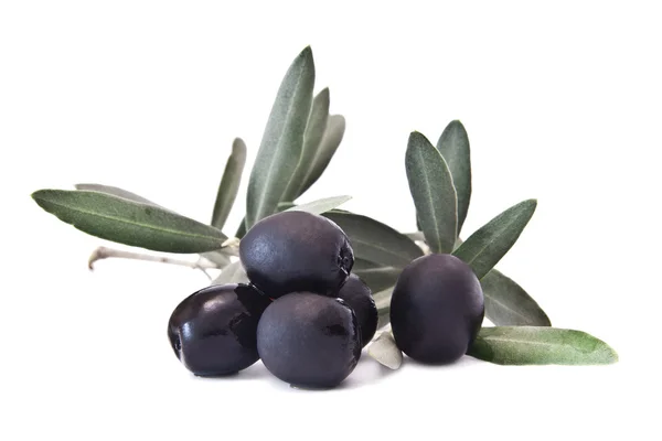 Olive fresche sul ramo d'ulivo isolate su fondo bianco — Foto Stock
