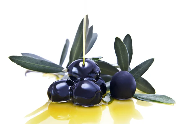 Olive fresche sul ramo d'ulivo isolate su fondo bianco — Foto Stock