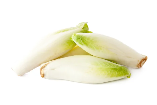 菊苣沙拉和新鲜孤立在白色背景上 — 图库照片