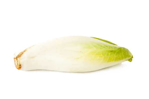 Salada de endívia e fresco isolado em fundo branco — Fotografia de Stock