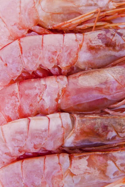 新鮮な魚介類、エビ、甲殻類 — ストック写真