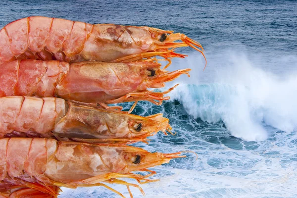 Frische Meeresfrüchte, Garnelen und Krebstiere — Stockfoto