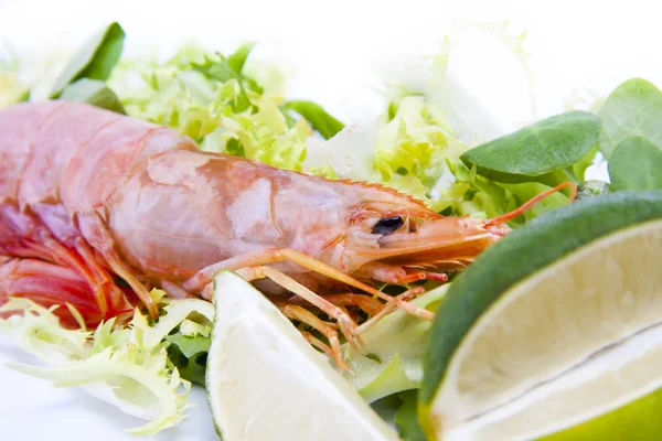 Frutos do mar frescos, camarões e crustáceos — Fotografia de Stock