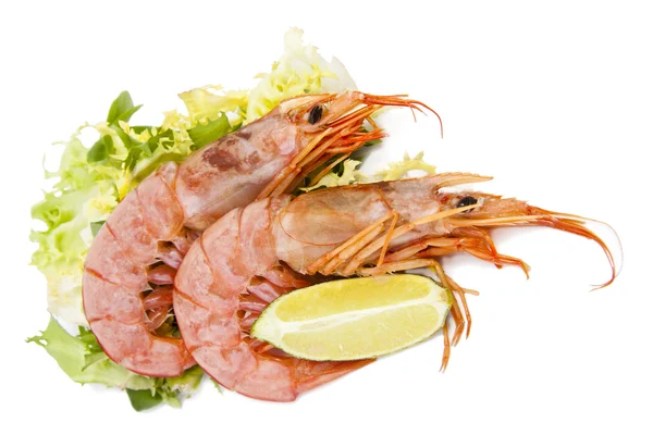 Fresh seafood, shrimps and crustaceans — Stock Photo, Image