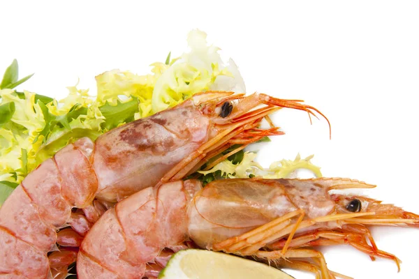 Mariscos, camarones y crustáceos frescos — Foto de Stock