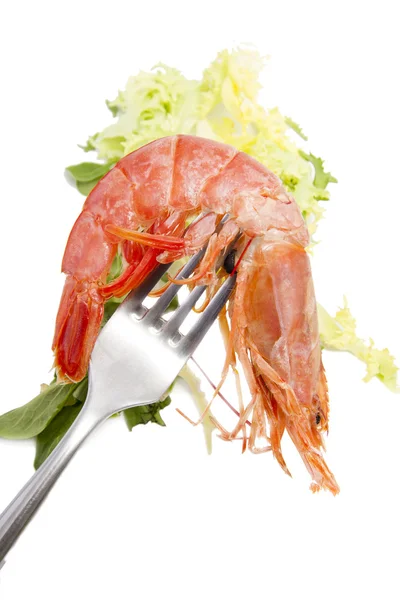 Свежие морепродукты, креветки и ракообразные — стоковое фото