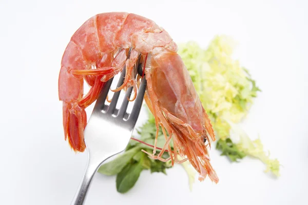 新鲜海鲜虾 — 图库照片