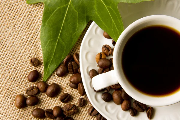 Scena caffè, semi, cereali e spezie — Foto Stock