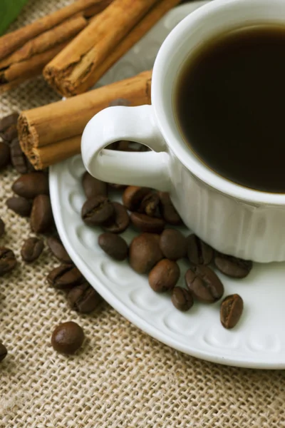 Кафе сцена, семена, зерна и специи — стоковое фото