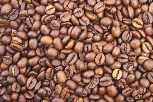 Escena cafetería, semillas, granos y especias —  Fotos de Stock