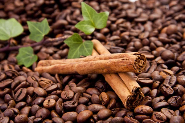 Scène de café, graines, grains et épices — Photo