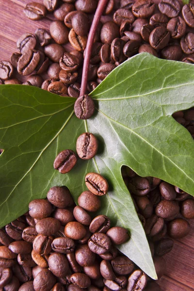 Koffie-, eet- en drinkgelegenheden — Stockfoto
