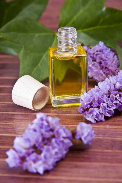 Bottle of perfume, cosmetics — Stock Photo, Image