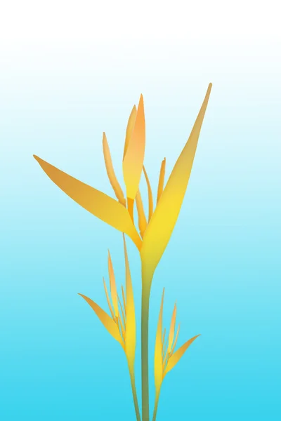 Yellow Bird of paradise flowers — Stock Photo, Image
