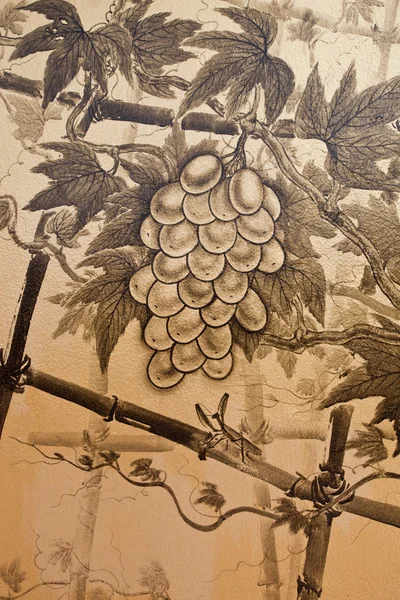 Grape painting — Stock Photo, Image