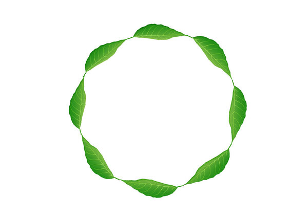 Green circle frame