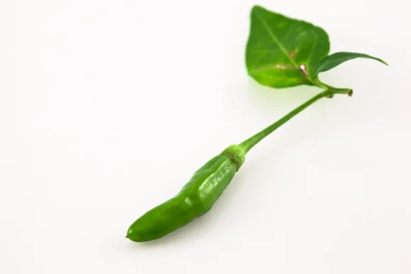 Zelené papriky, samostatný — Stock fotografie